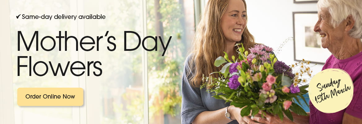 Seasonal bouquets from Flowers From Ltd in Bexleyheath offering same-day delivery